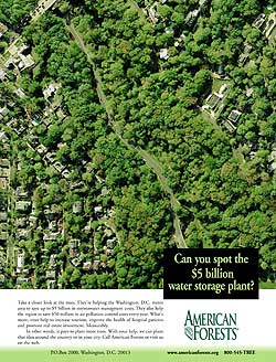 Ad conceived and written for American Forests that pitched the organization as a conservation leader.